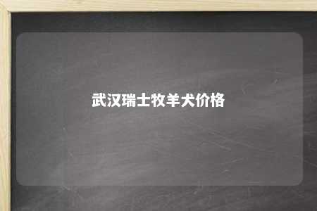 武汉瑞士牧羊犬价格