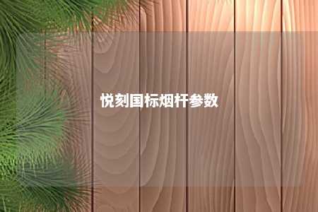 悦刻国标烟杆参数